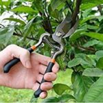 Heavy Duty Pruning Shear is a necessary tool for any gardener.